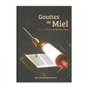 Gouttes de miel - Rav D.Breisacher