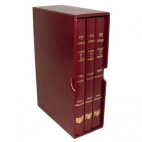 L'arme de la parole - Coffret 3 fêtes - Pessah Chavouhot Souccot (bordeau)