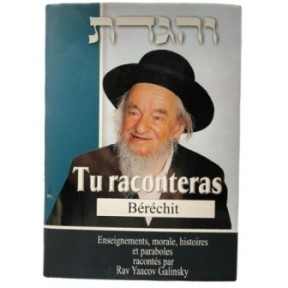 Tu raconteras Béréchit -Enseignements, morales, histoires et paraboles - Rav Yaacov Galinsky