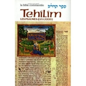 Sefer Tehilim - Les Psaumes I - Rabbin Avrohom Chaim Feuer