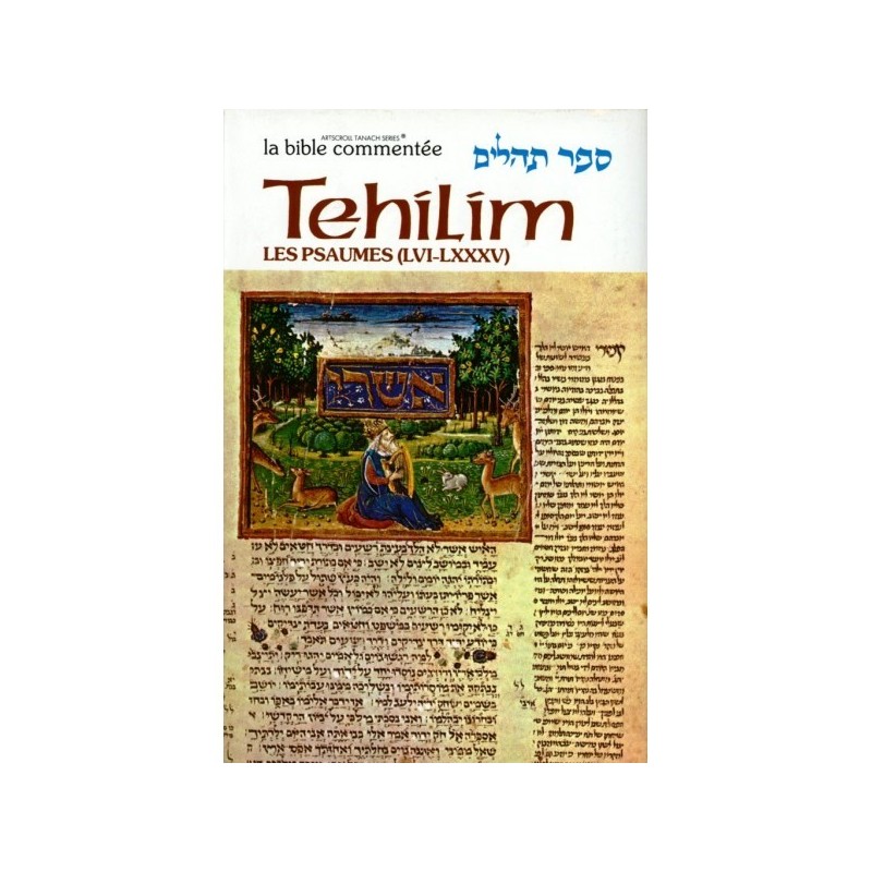 Sefer Tehilim - Les Psaumes I - Rabbin Avrohom Chaim Feuer
