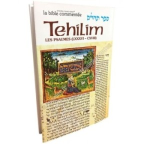 Tehilim - Les Psaumes - Tome IV - Psaumes 86 à 118