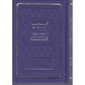 Tehilim Refaa Nafchi - Hebreu/Francais/Phonetique de Luxe Format Poche - Mauve