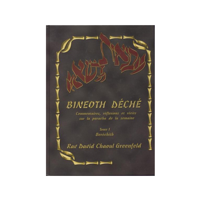Bineoth Déché Tome 1 Béréchith