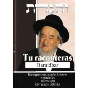 Tu raconteras Bamidbar -Enseignements, morales, histoires et paraboles - Rav Yaacov Galinsky