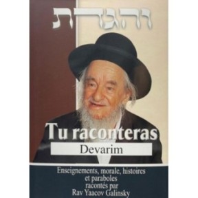 Tu raconteras Devarim-Enseignements, morales, histoires et paraboles - Rav Yaacov Galinsky