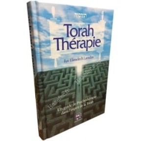 Torah Thérapie - Un guide de Psychothérapie dans l'esprit de la Torah