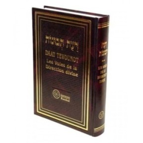 DAAT TEVOUNOT - The Divine Direction routes - Ramhal