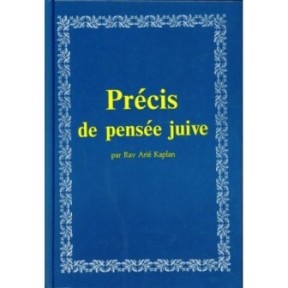 Precise of Jewish thought - Aryeh Kaplan