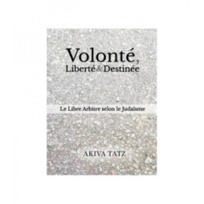 Will, Freedom & Destiny - Akiva Tatz
