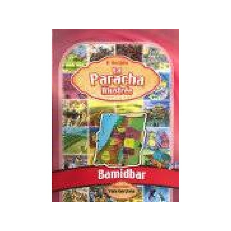 The Illustrated Paracha Bamidbar