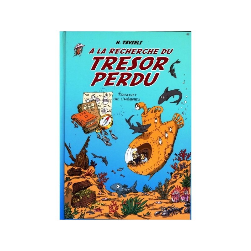 In search of the lost treasure - N. tzveli