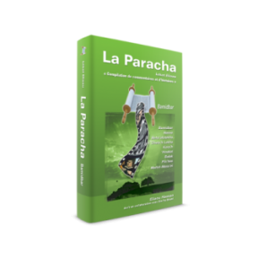 Bamidbar's Paracha Book