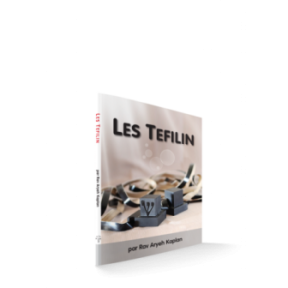 The tefilin